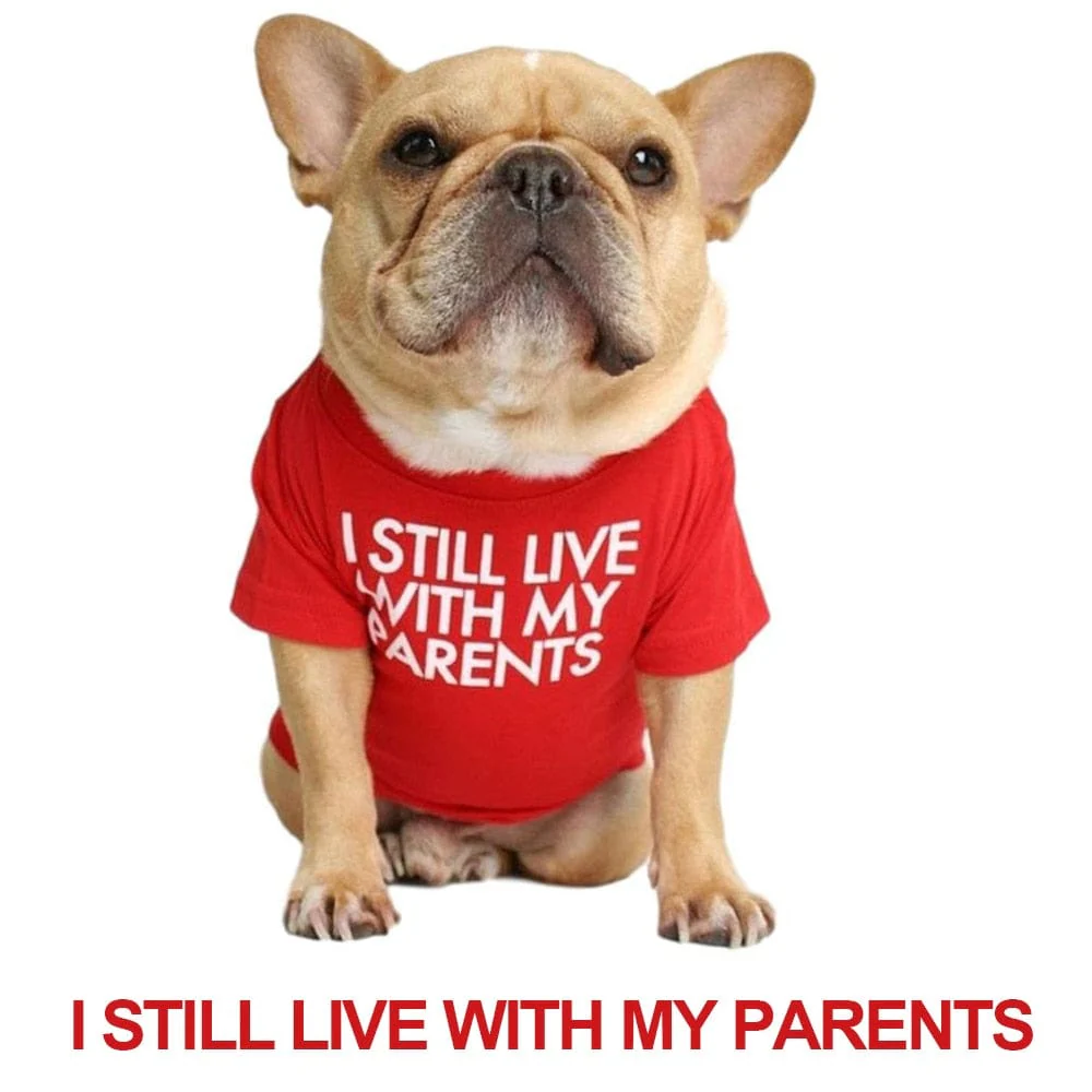 Quality Breathable Pet Clothing - Image 13