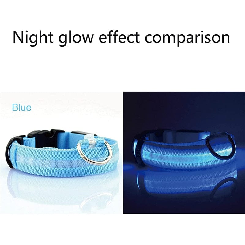 Rechargeable Waterproof LED Glowing Dog Collars - Image 17
