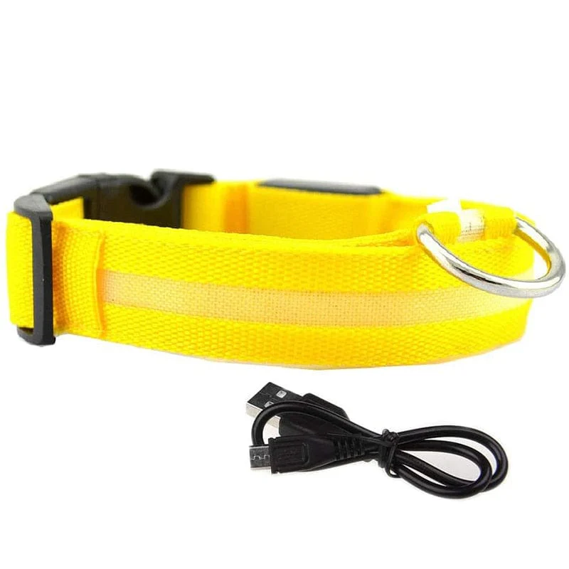 Rechargeable Waterproof LED Glowing Dog Collars - Image 2
