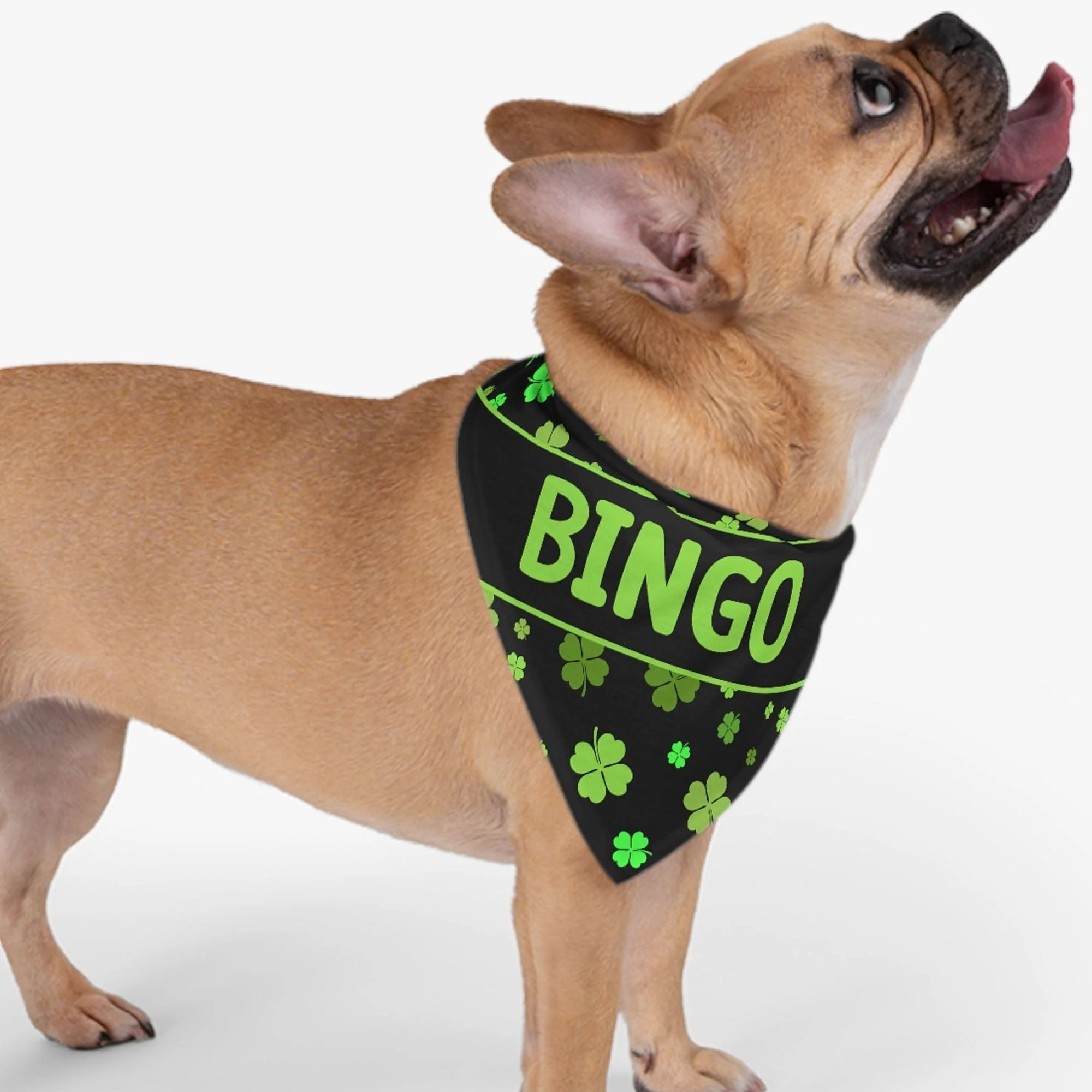 St. Patrick's Day Custom Name Bandana Personalized Dog Cat Pet Bandana C618V2 - Image 2