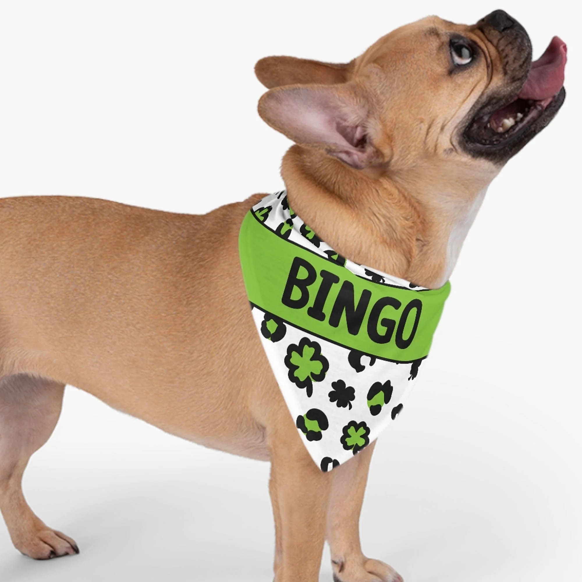 St. Patrick's Day Custom Name Bandana Personalized Dog Cat Pet Bandana C618V3 - Image 2