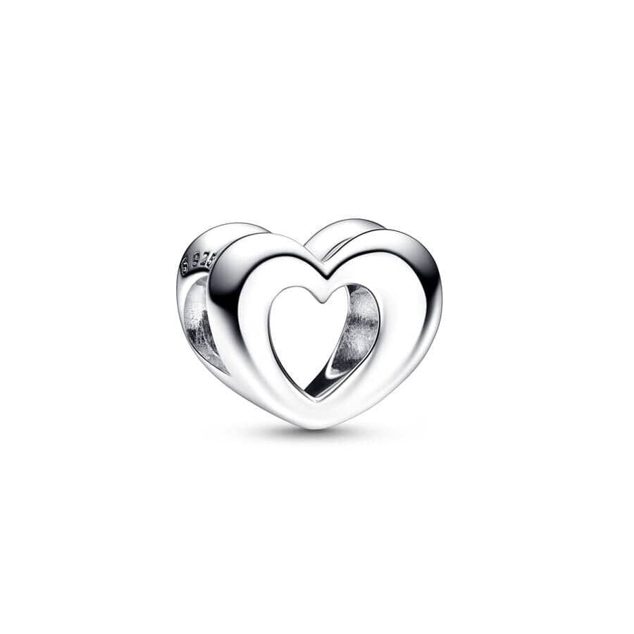 Sterling Silver Paw Print Infinity Charm - Image 15