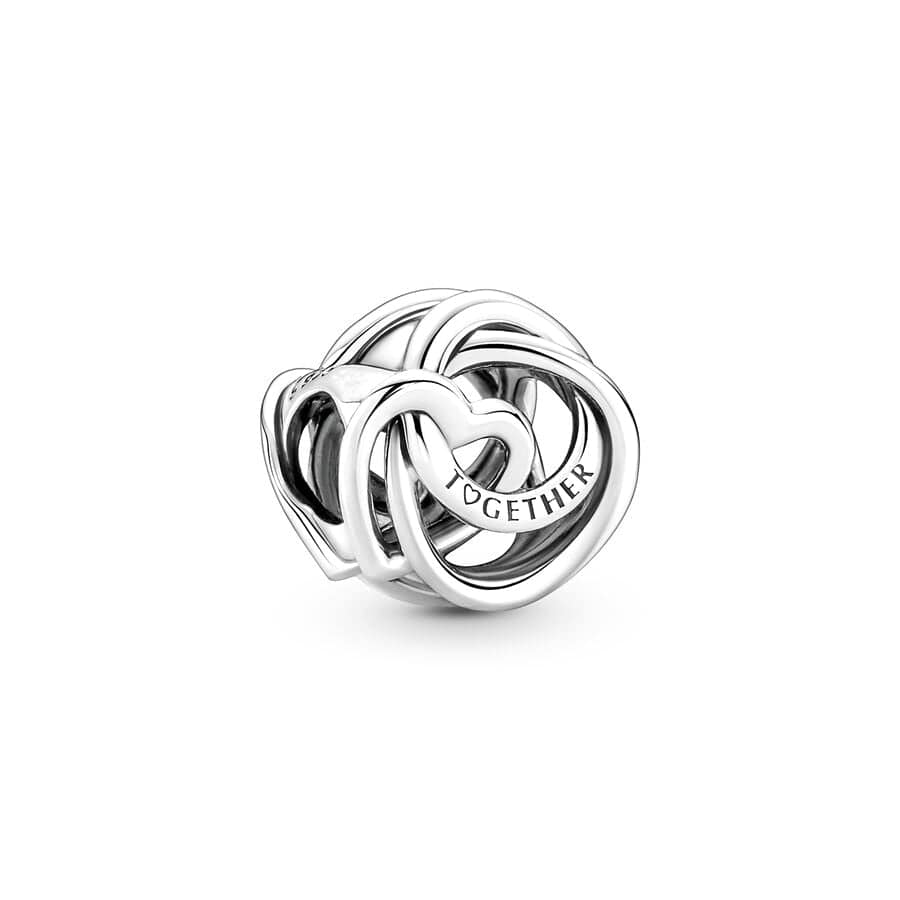 Sterling Silver Paw Print Infinity Charm - Image 33