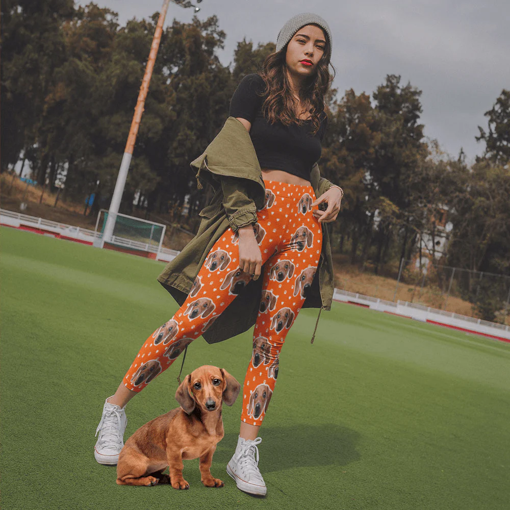 Upload Image Dog Legging HN590