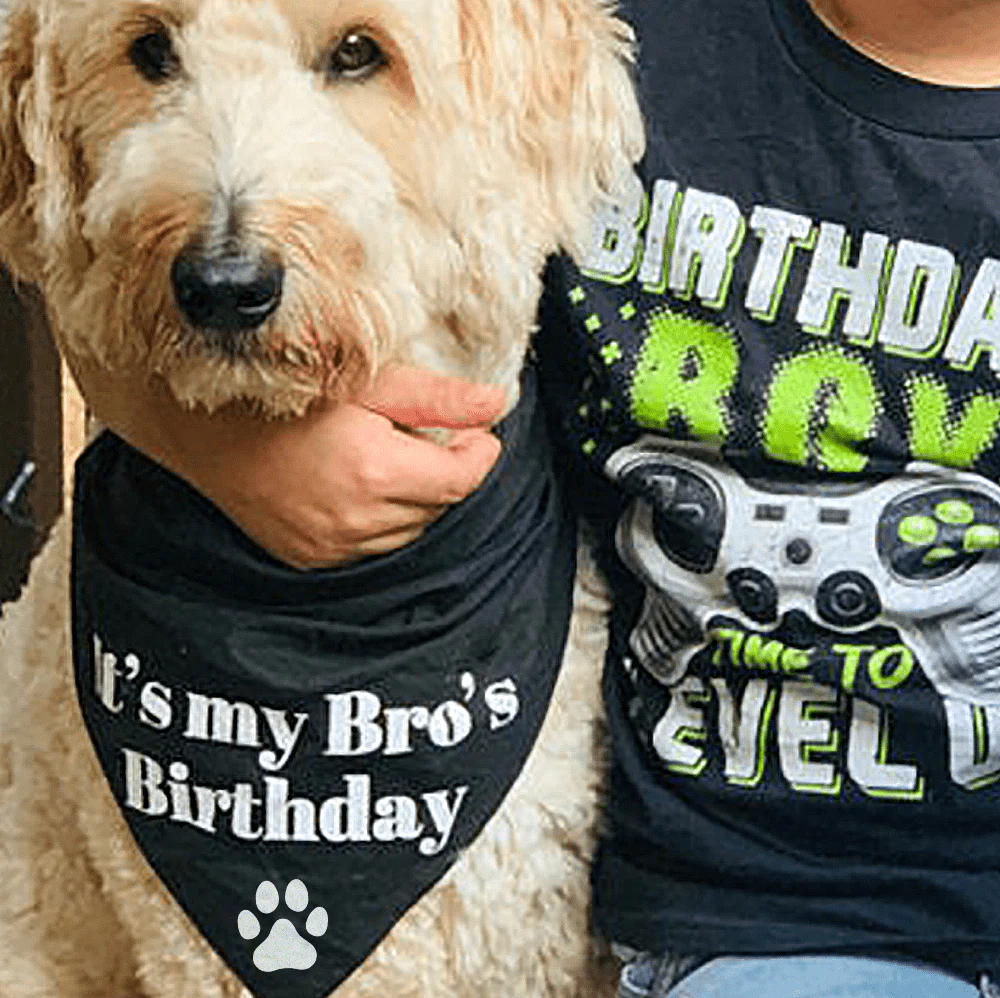 Custom Text Dog Bandana - Image 3