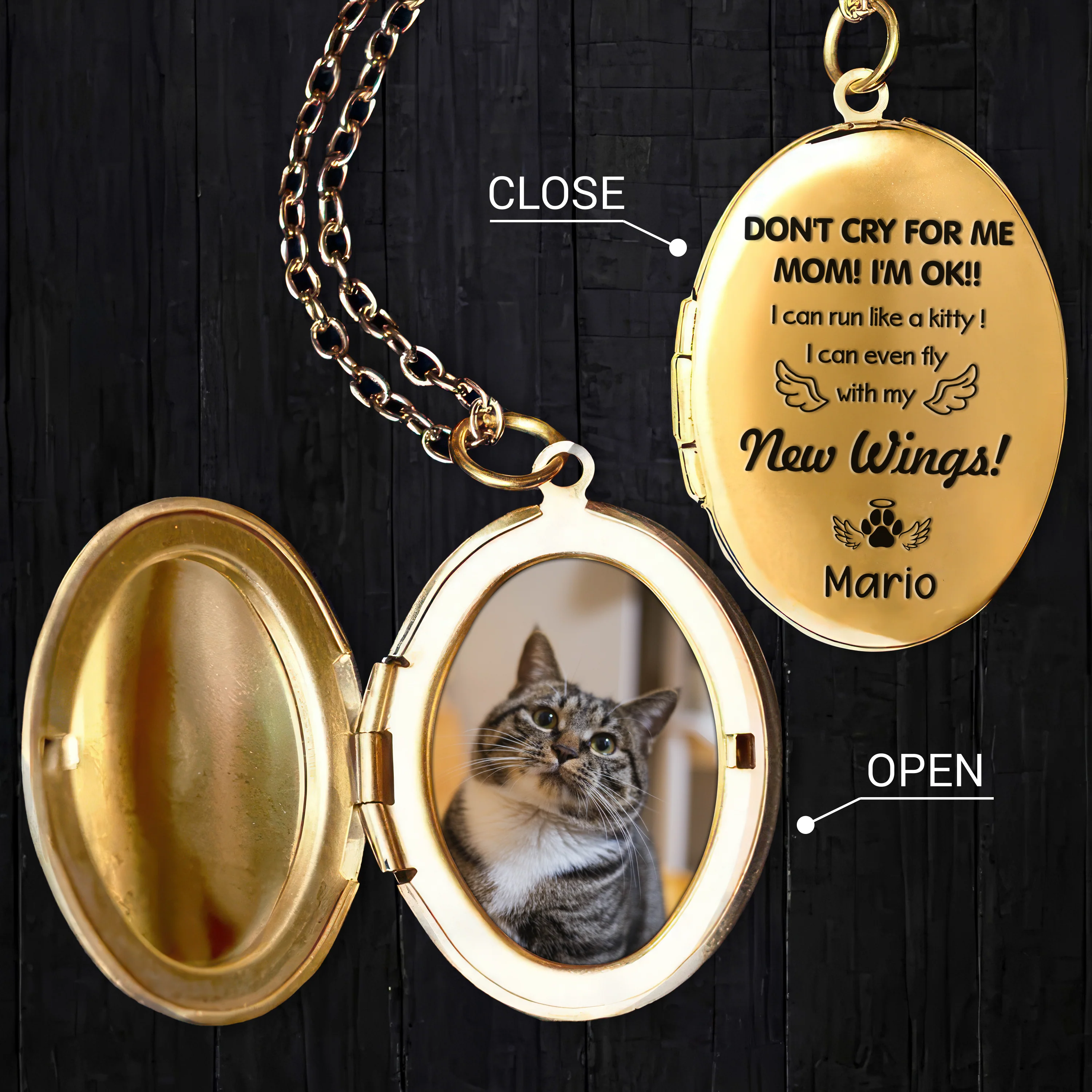 Custom Dog Cat Memorial Photo Personalized Don't Cry For Me Mom Locket Necklace CH07 895602 - Image 2