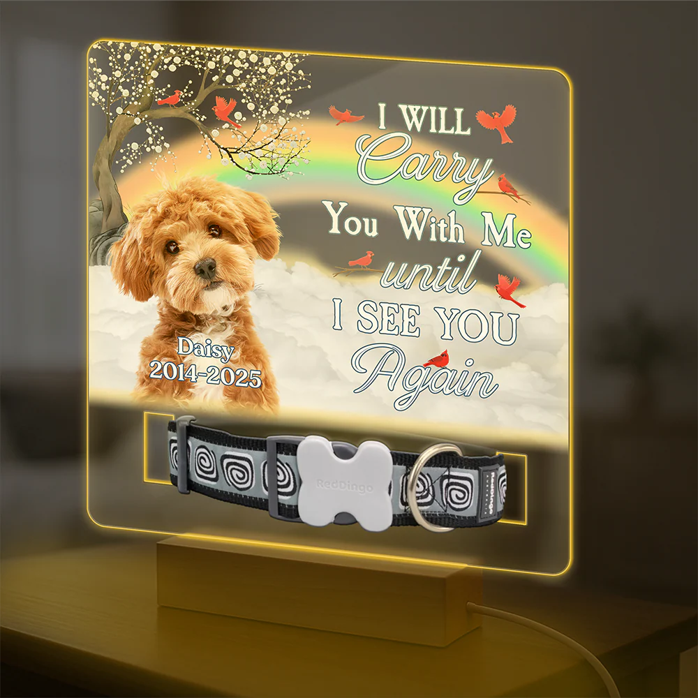 One By My Side Forever In My Heart Custom Dog Cat Memorial Photo Acrylic Collar Frame CH07 896088 - Image 5