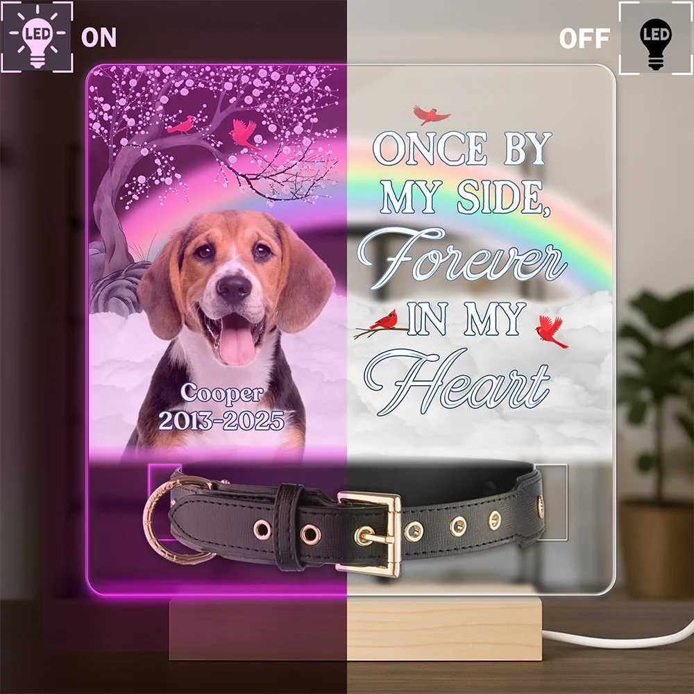 One By My Side Forever In My Heart Custom Dog Cat Memorial Photo Acrylic Collar Frame CH07 896088 - Image 6