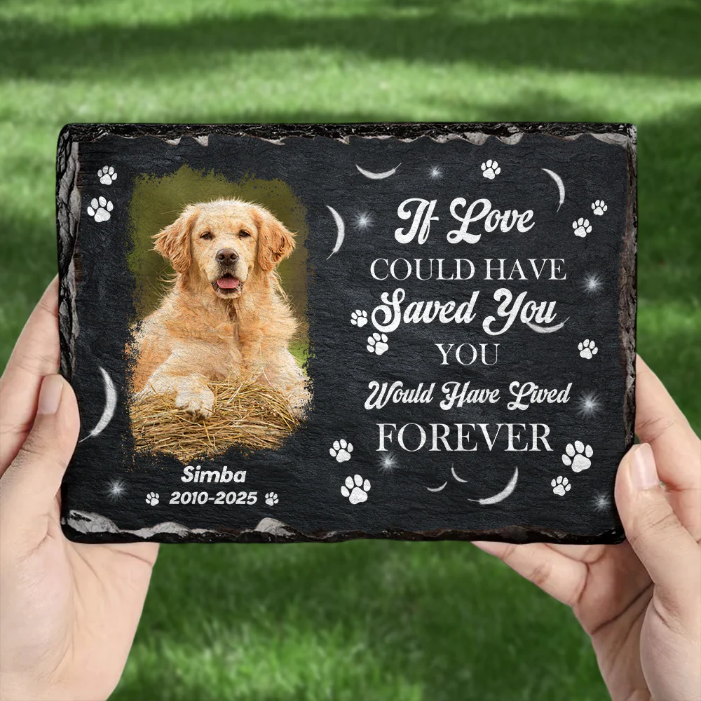 You Were My Favorite Hello Custom Dog Cat in Heaven Photo Rectangle Shaped Stone With Stand Memorial Gift CH07 895482 - Image 3