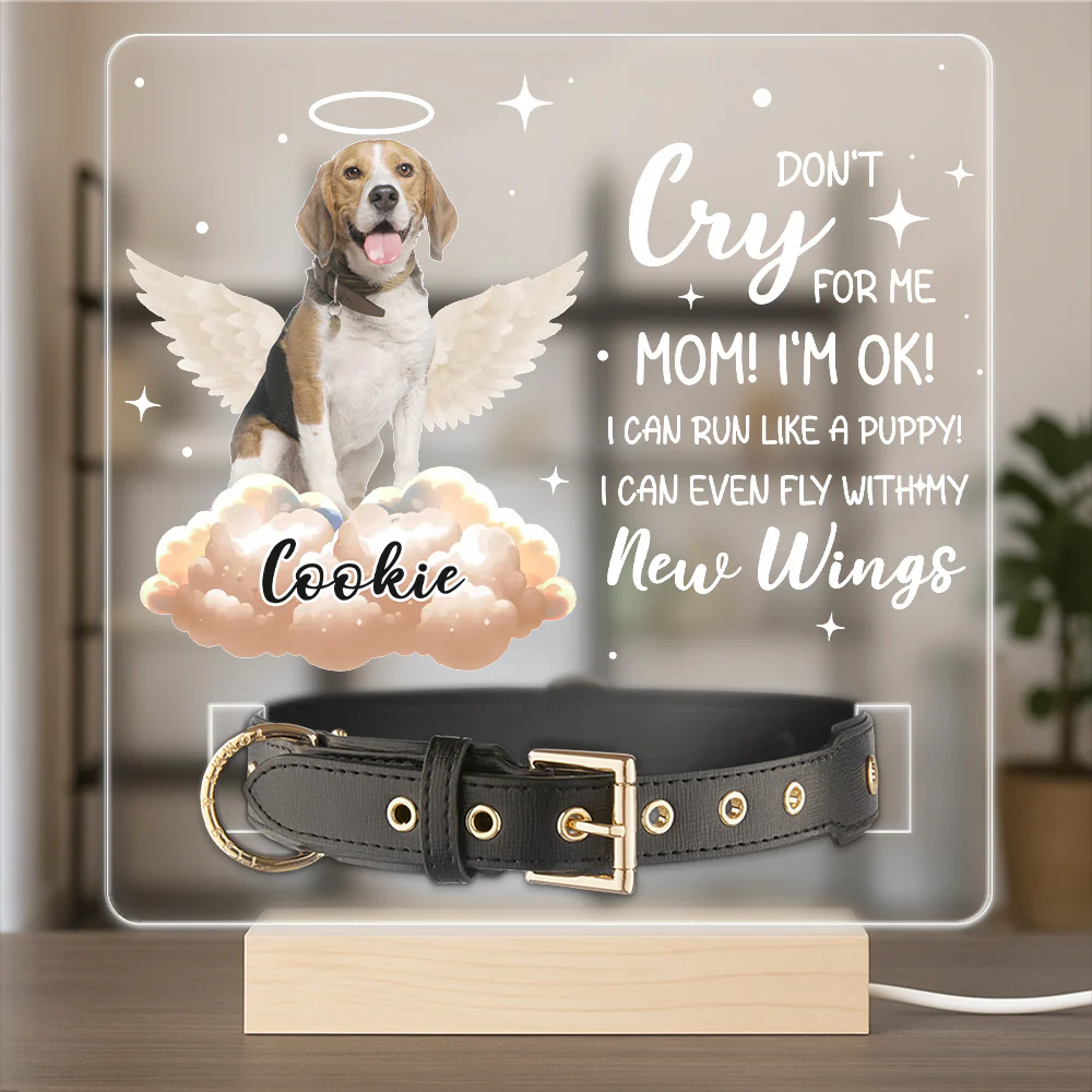 Your Wings Were Ready But My Heart Was Not Custom Pet Photo Acrylic Collar Frame Memorial Gift CH07 896080 - Image 6