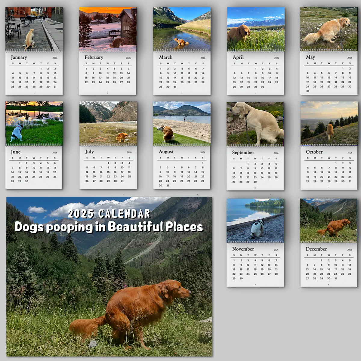 2026 Dogs Pooping In Beautiful Places Calendar TH10 896705 - Image 6