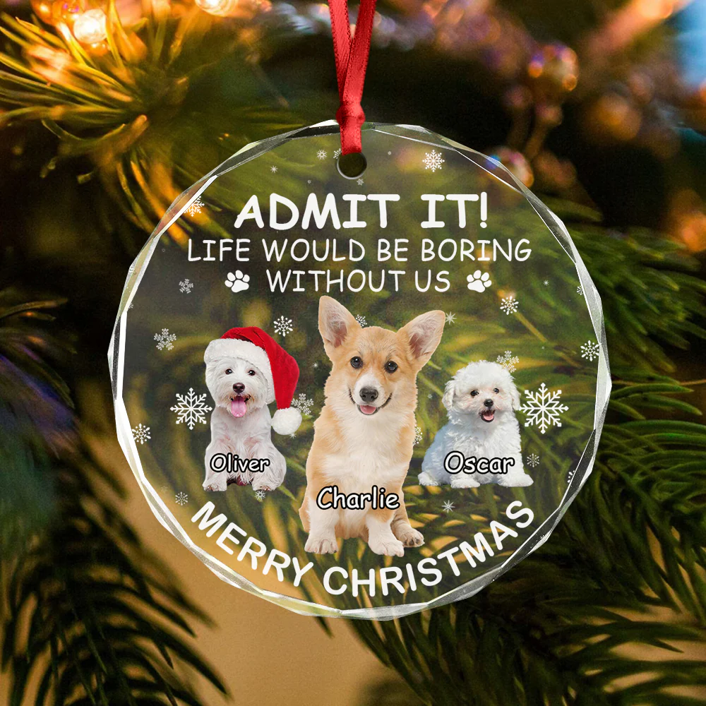 Custom Dog Cat Photo Life Would Be Boring Without Me Circle Glass Ornament CH07 896266 - Image 2