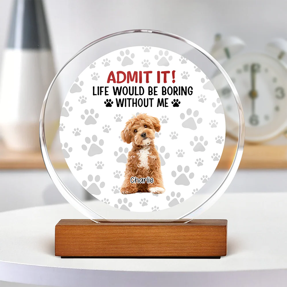 Custom Dog Cat Photo Life Would Be Boring Without Me Round Acrylic Frame Block TH10 894061 - Image 2