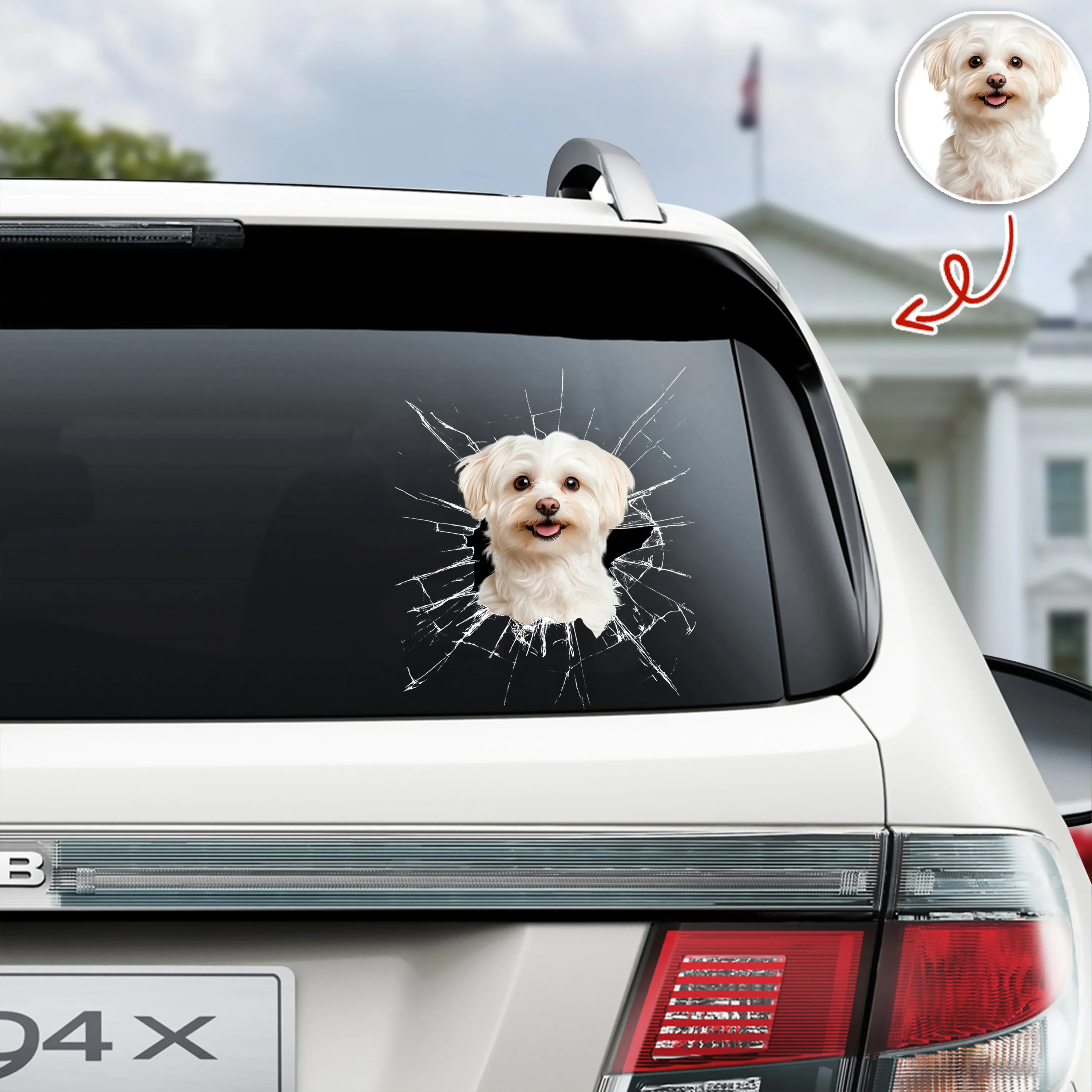 Custom Pet Photo Car Window Decal Sticker Gift For Pet Lovers HA75 898158 - Image 3