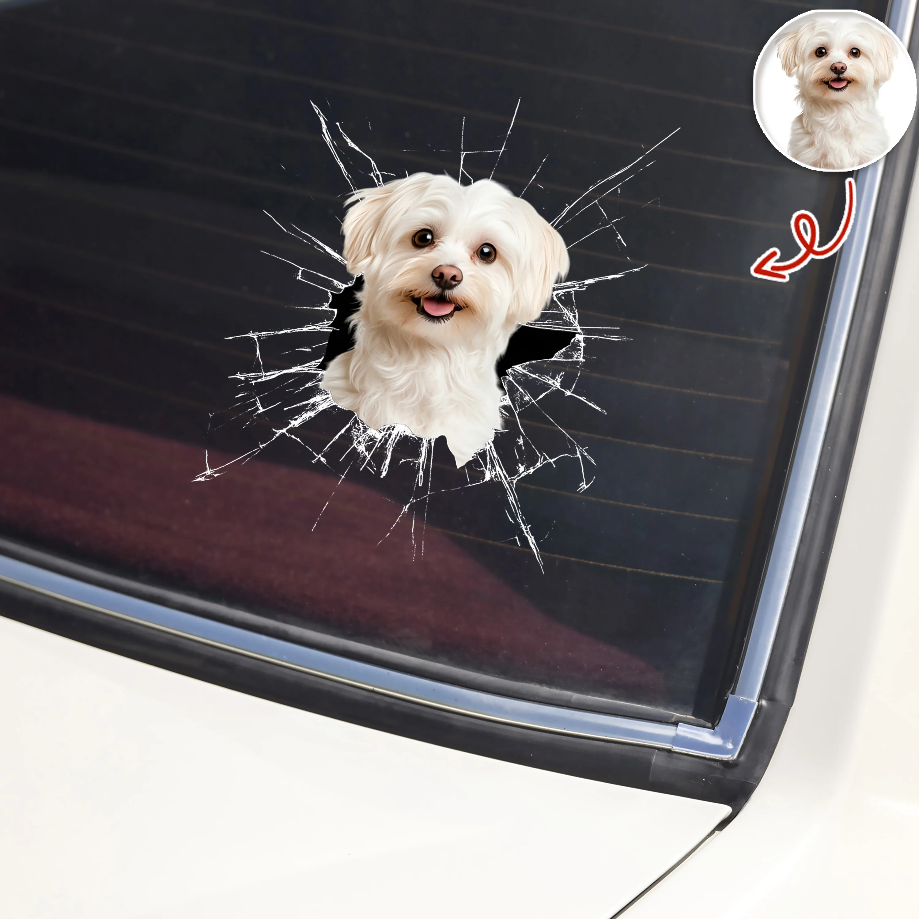 Custom Pet Photo Car Window Decal Sticker Gift For Pet Lovers HA75 898158 - Image 4