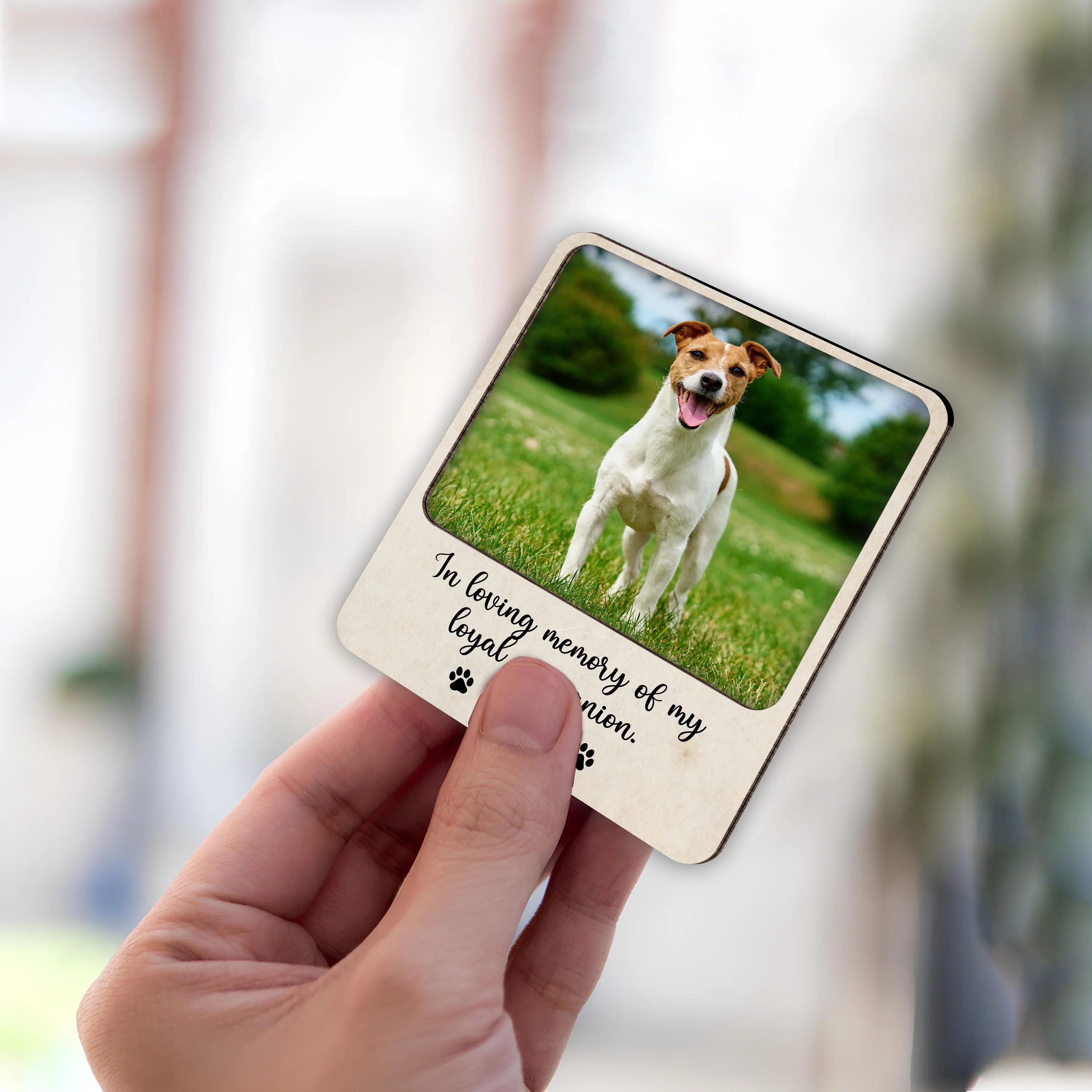 Custom Pet Photo Memorial Car Visor Clip Gift For Pet Lovers TH10 898111 - Image 7