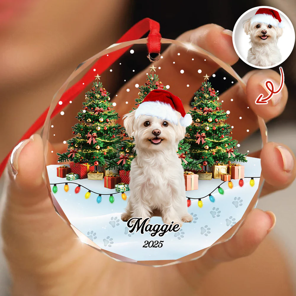 Custom Pet Photo - Personalized Christmas Glass Ornament For Pet Lovers CH07 899692 - Image 3