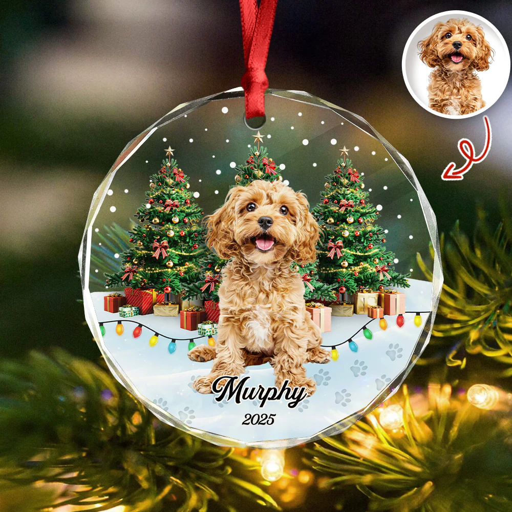 Custom Pet Photo - Personalized Christmas Glass Ornament For Pet Lovers CH07 899692 - Image 4