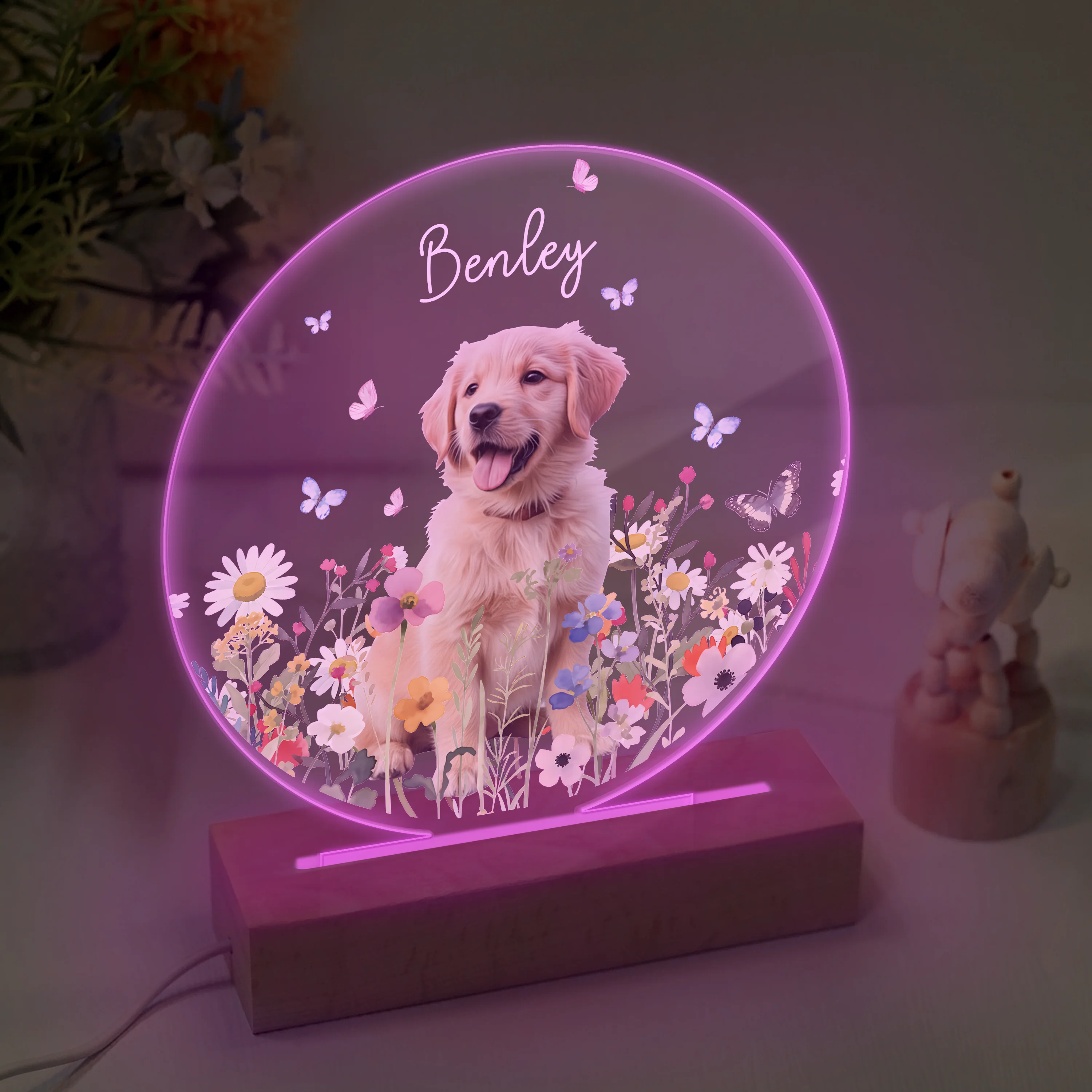 Custom Pet Portrait Photo LED Night Light Gift For Pet Memorial TH10 894487 - Image 4
