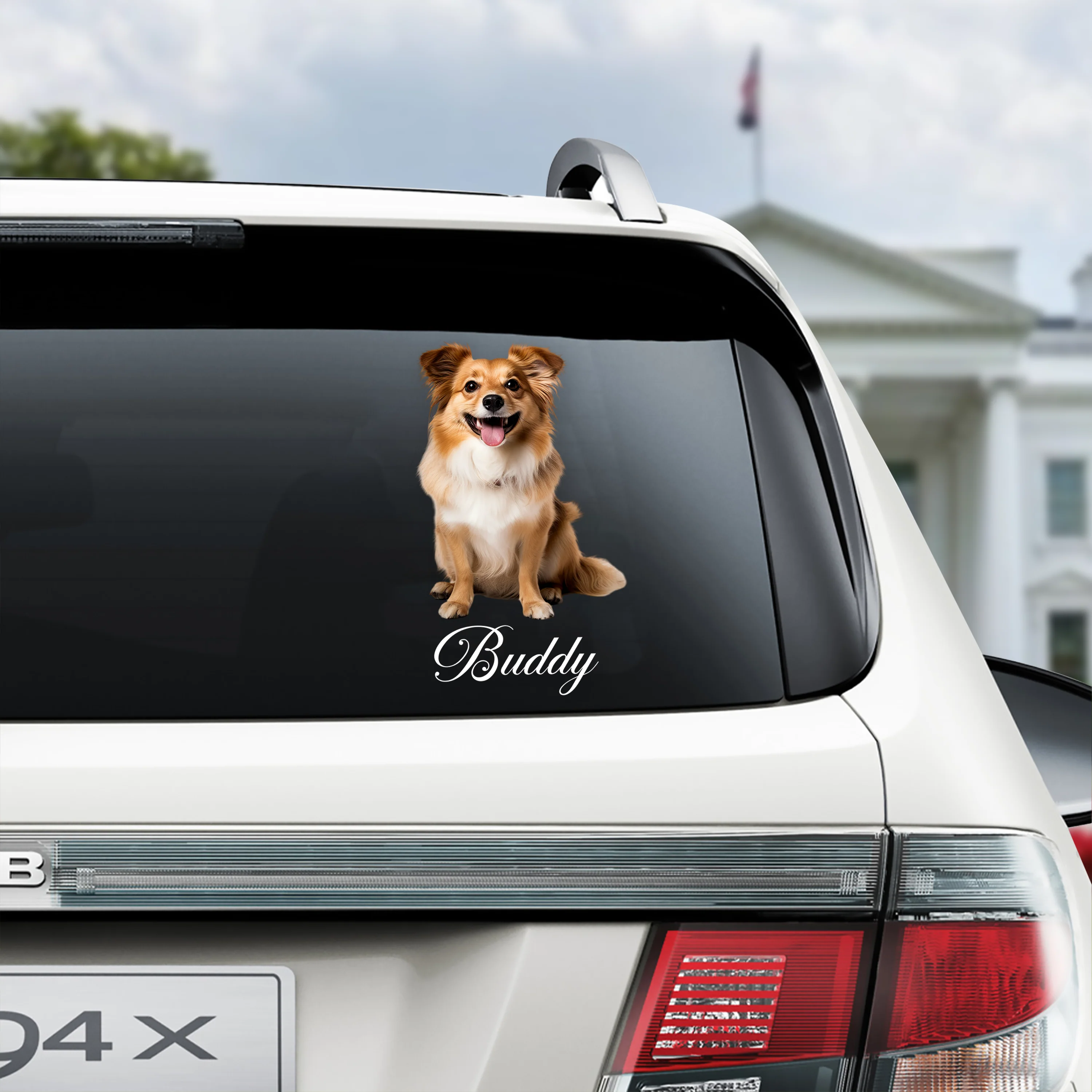 Custom Photo And Name Dog Cat Car Window Decal Sticker HA75 898162 - Image 2