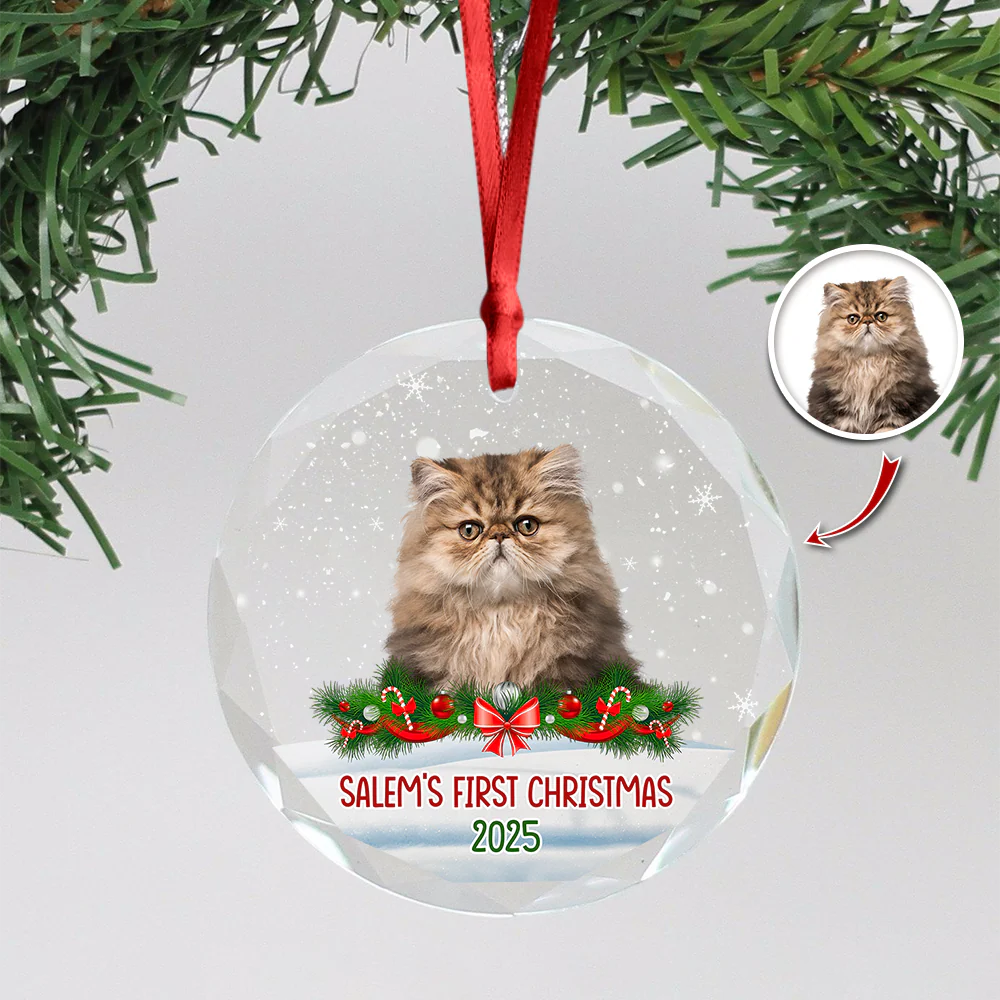 Custom Photo Cat First Christmas Glass Ornament HA75 897260 - Image 17