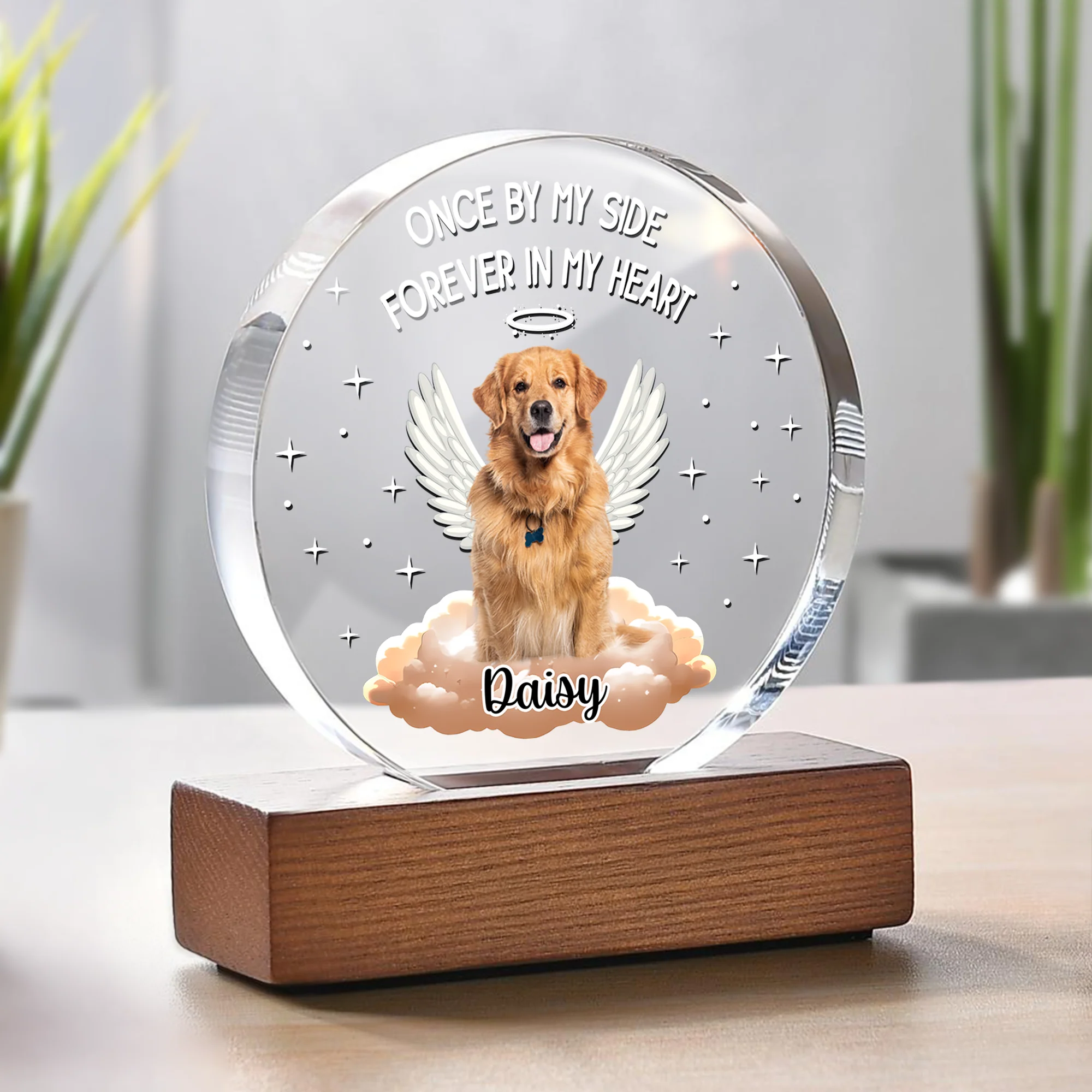 Custom Photo Dog Cat Once By My Side Forever In My Heart Round Acrylic Frame Block HA75 892782 - Image 3