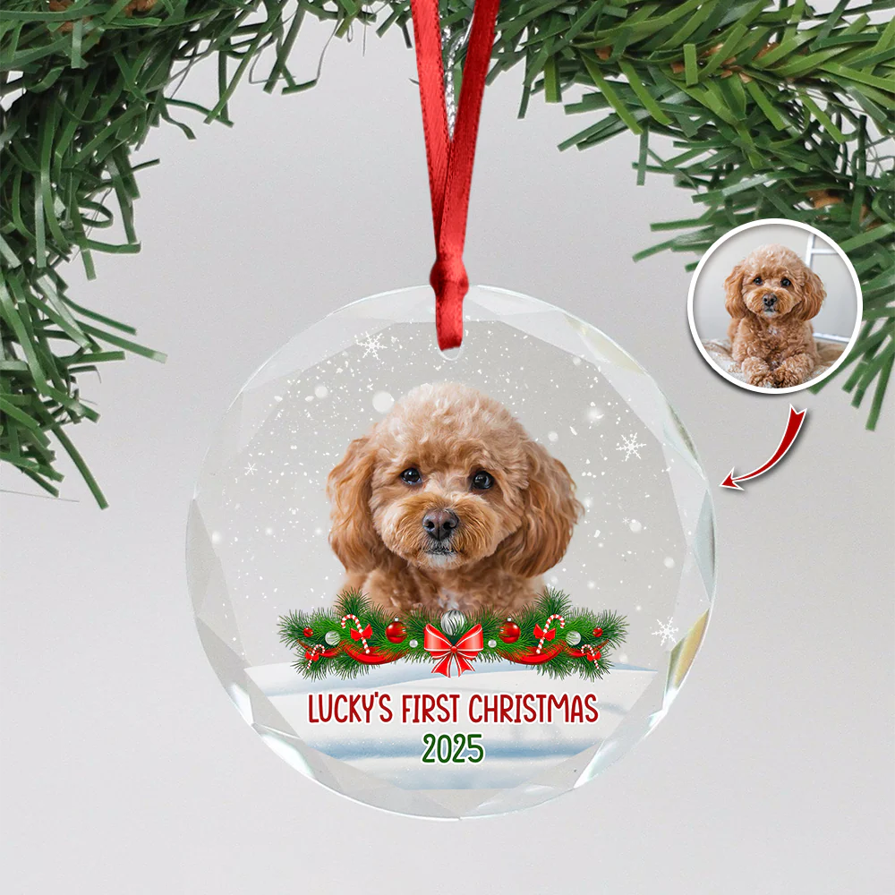 Custom Photo Dog First Christmas Glass Ornament HA75 897258 - Image 18