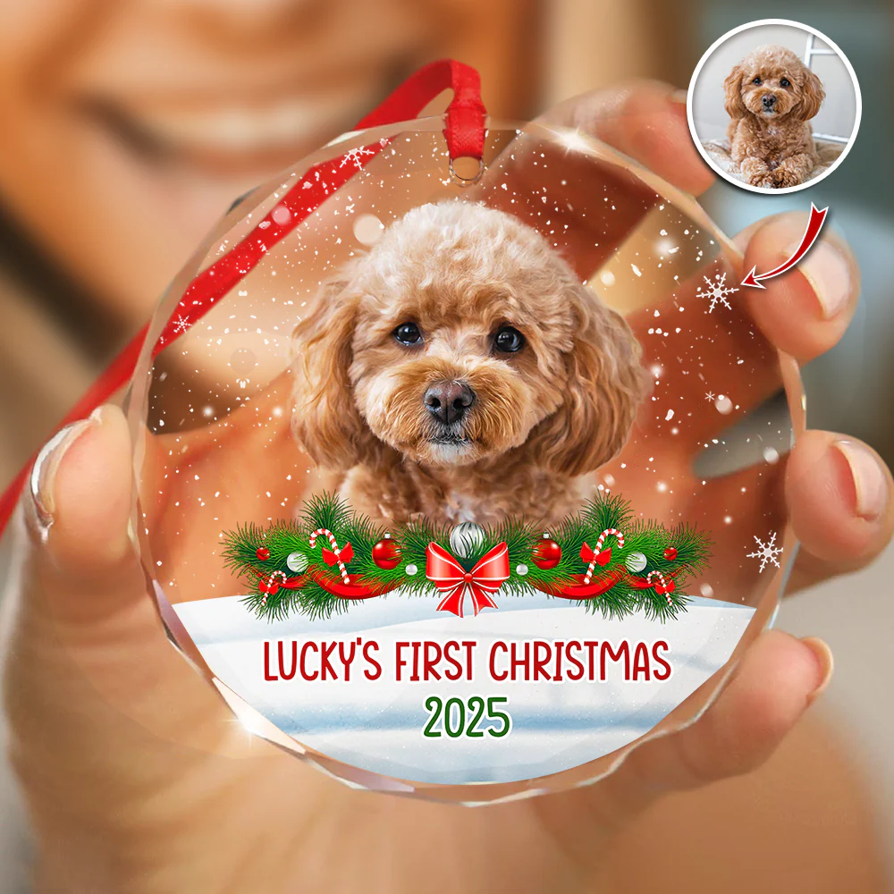 Custom Photo Dog First Christmas Glass Ornament HA75 897258 - Image 19
