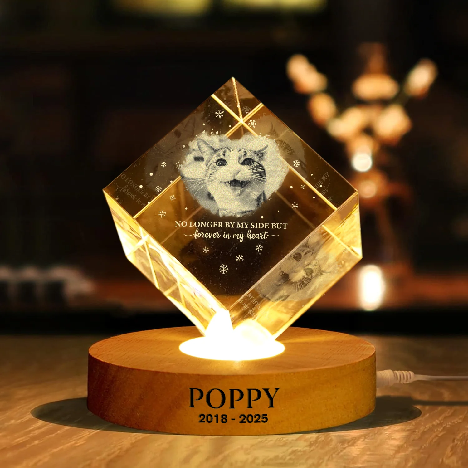 Custom Photo Forever Loved Memorial Dog Cat Engraved Crystal Photo With Light HA75 898214 - Image 10