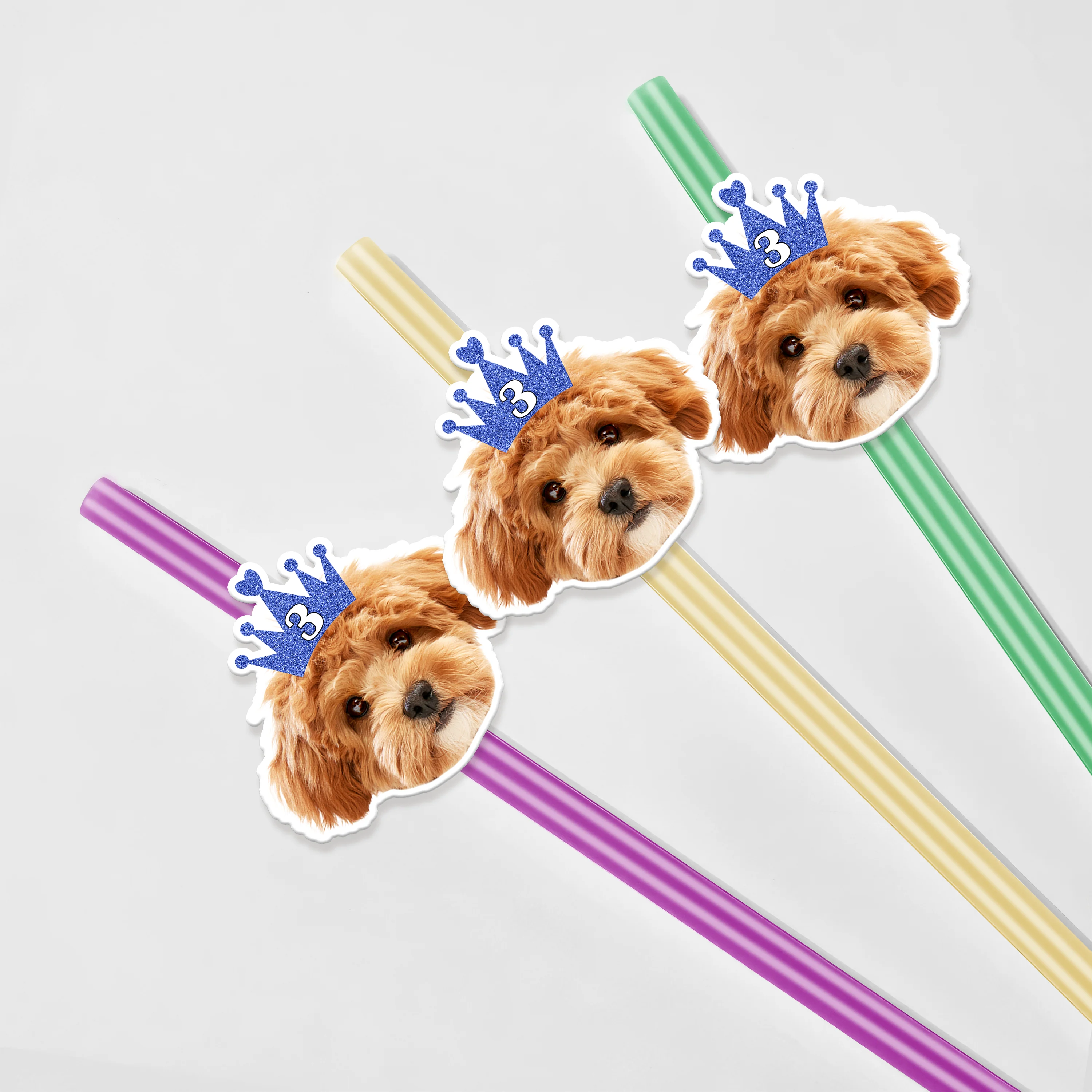 Custom Photo Pet Straw TH10 892747 - Image 6