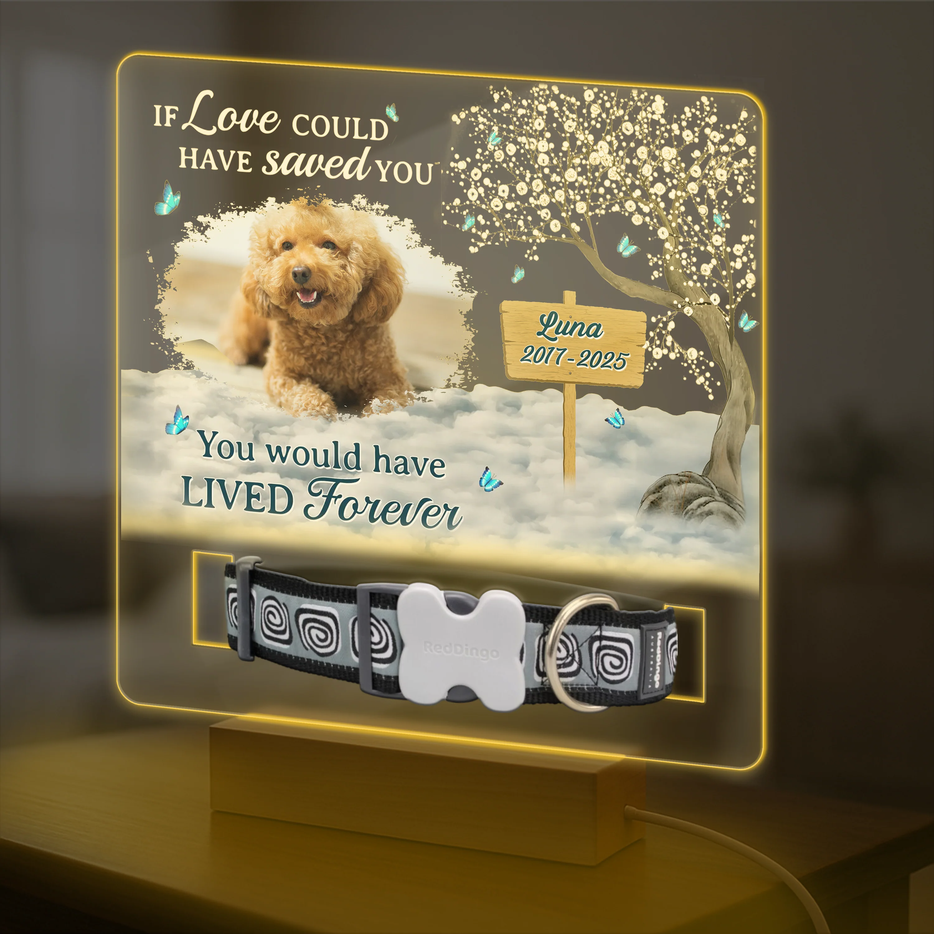 You Are My Favorite Hello An My Hardest Goodbye - Custom Pet Photo Memorial Acrylic Collar Frame CH07 896078 - Image 8