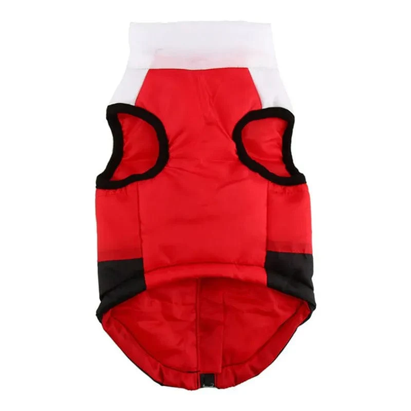 Halloween Warm Dog Clothes For Small Dg - Image 20