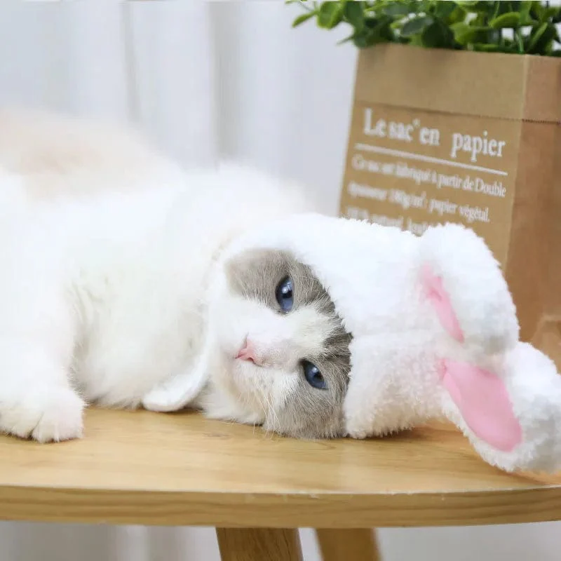 Warm Funny Cat Headgear Cute Rabbit Ears - Image 2