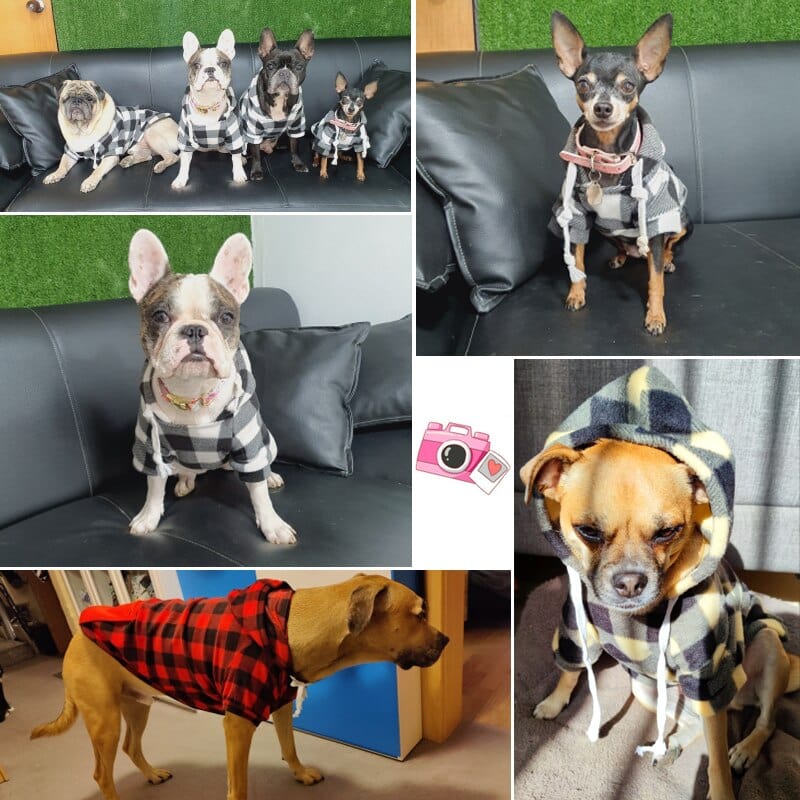 Winter Warm Pet Dog Clothes Soft Wool Dog Hoodies - Image 3