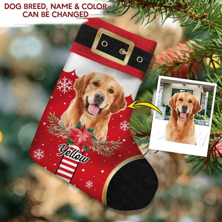 Customize Santa Outfit Christmas Stocking, Dog Christmas Stocking 898029 - Image 2
