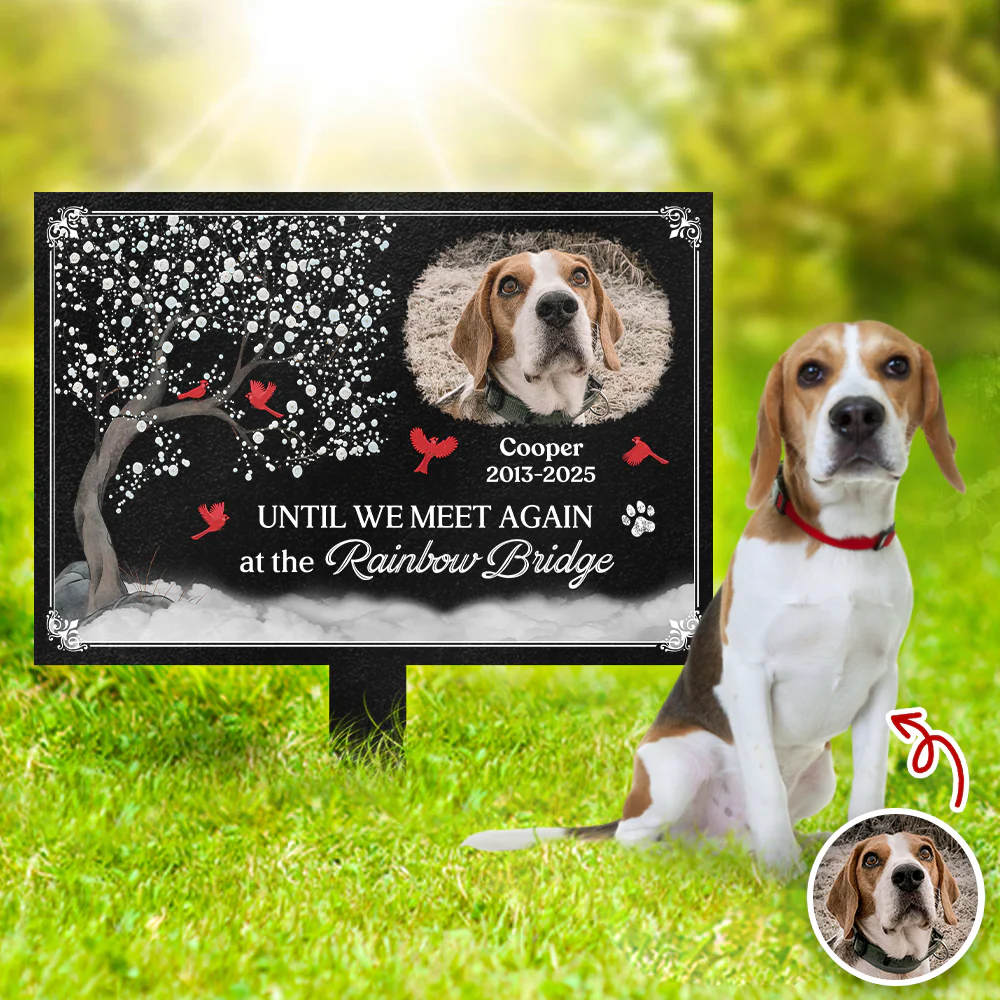 You Were My Favorite Hello And My Hardest Goodbye - Custom Pet Memorial Photo Garden Stake CH07 896344 - Image 5
