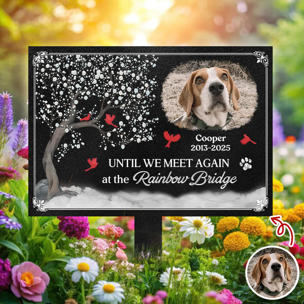 You Were My Favorite Hello And My Hardest Goodbye - Custom Pet Memorial Photo Garden Stake CH07 896344 - Image 7